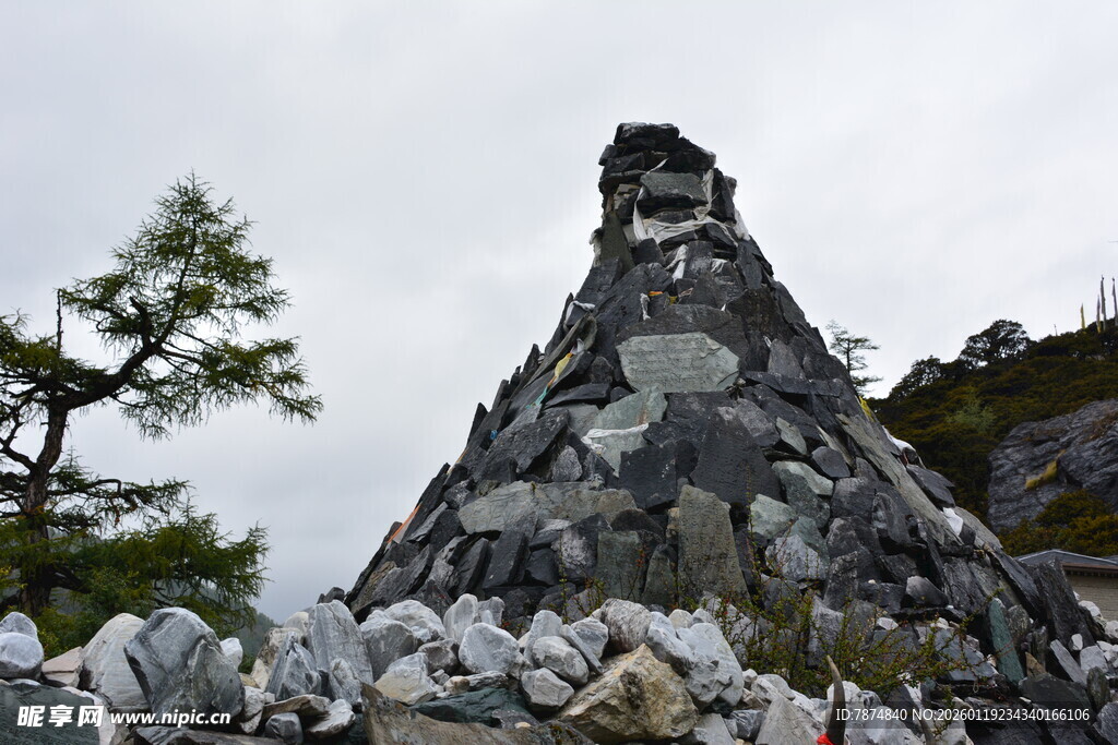 石堆景观 孤树相伴 稻城