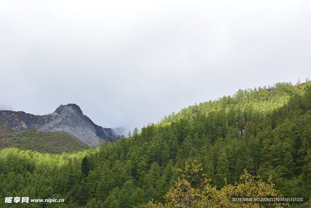 青山葱郁间的秀丽山景 稻城