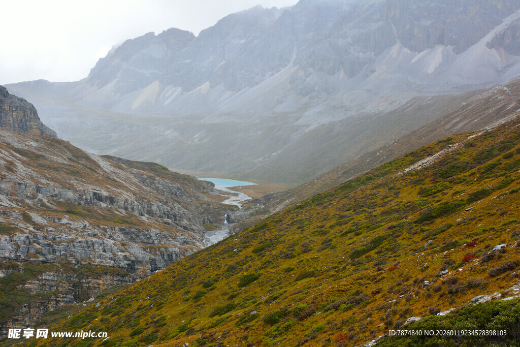 山间秋色美景 稻城