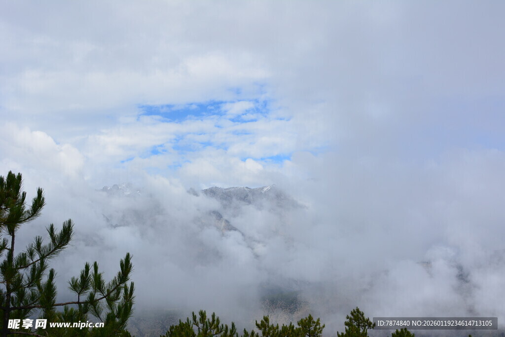 山间云海与树梢景致 稻城