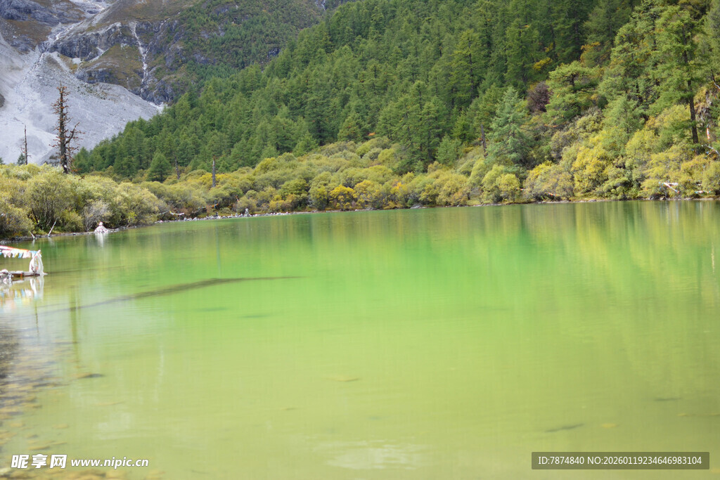 翠绿湖水与山林美景 稻城