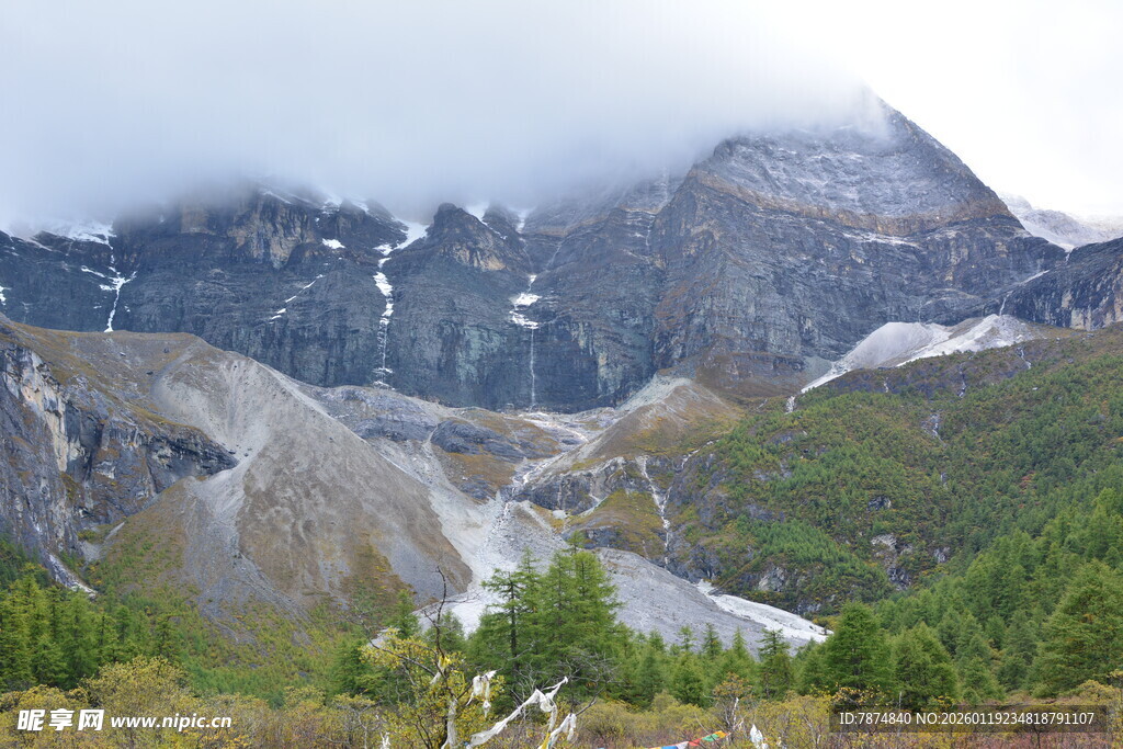 云雾缭绕的壮丽山间景色 稻城
