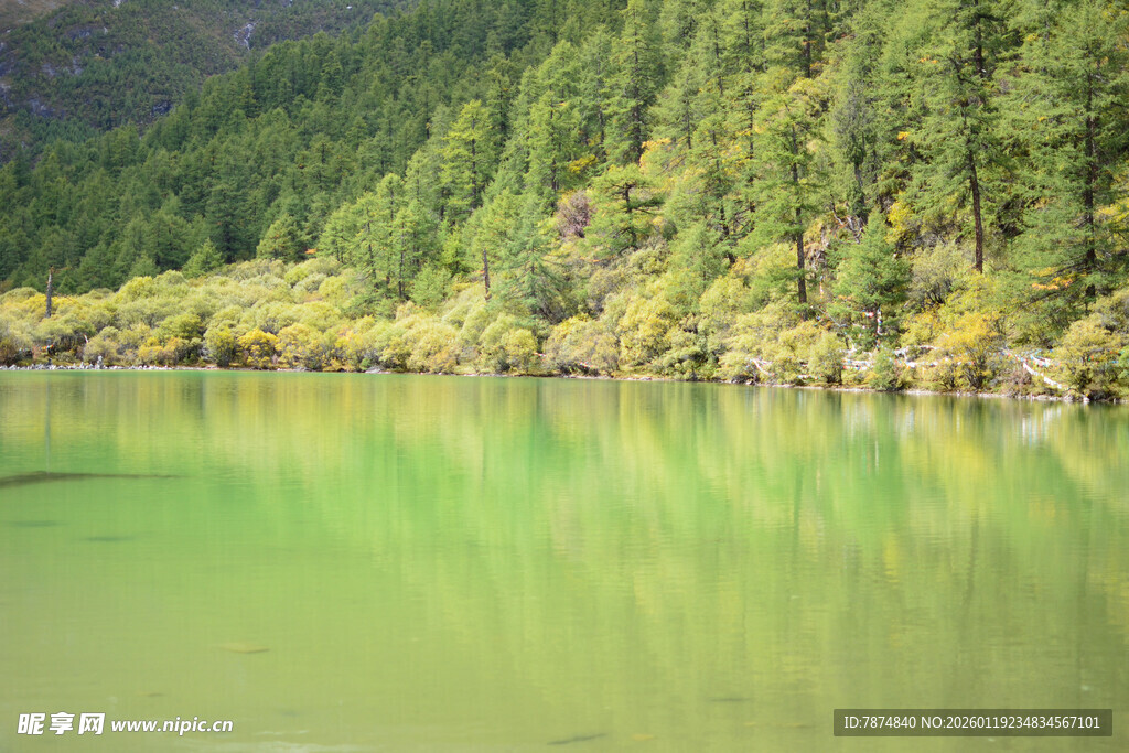 翠绿山林环绕的静谧湖水 稻城