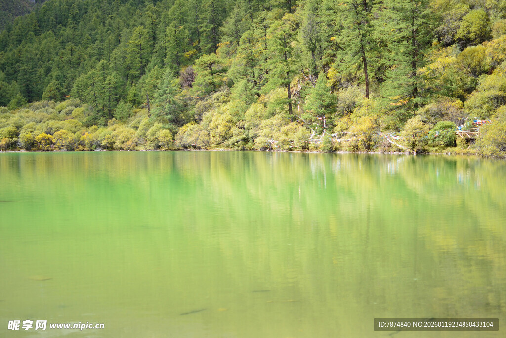 翠绿山林旁的澄澈湖水 稻城