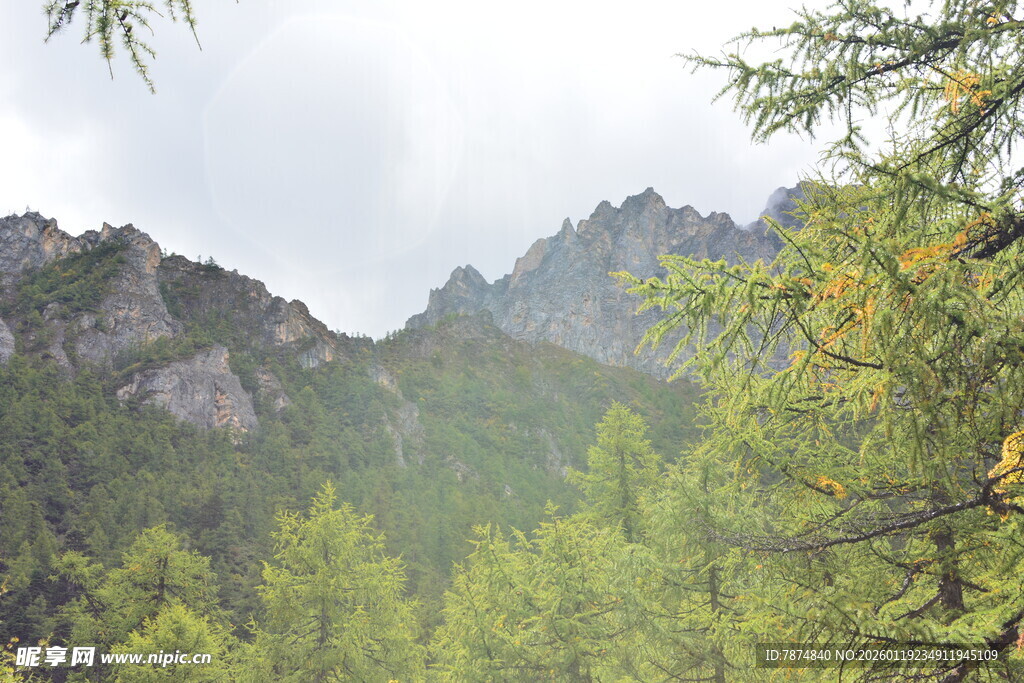 山林间的秀丽山峦风光 稻城