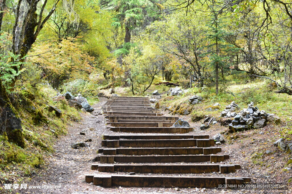 林间石阶小径 稻城