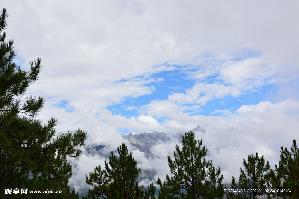 松林间的蓝天白云与远山 稻城