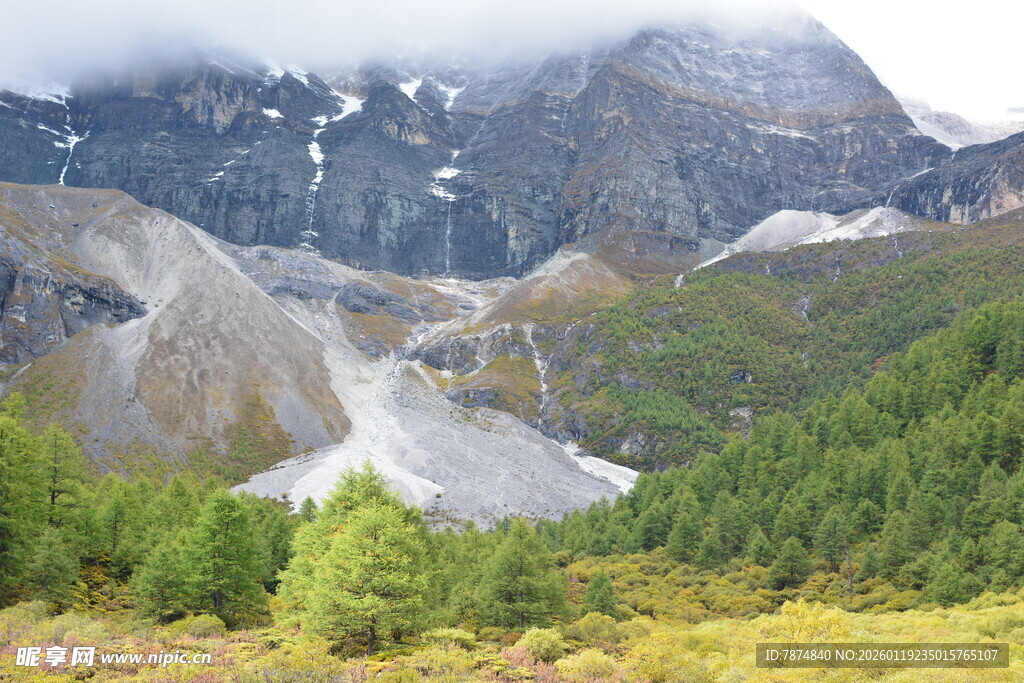 壮丽高山森林景观 稻城