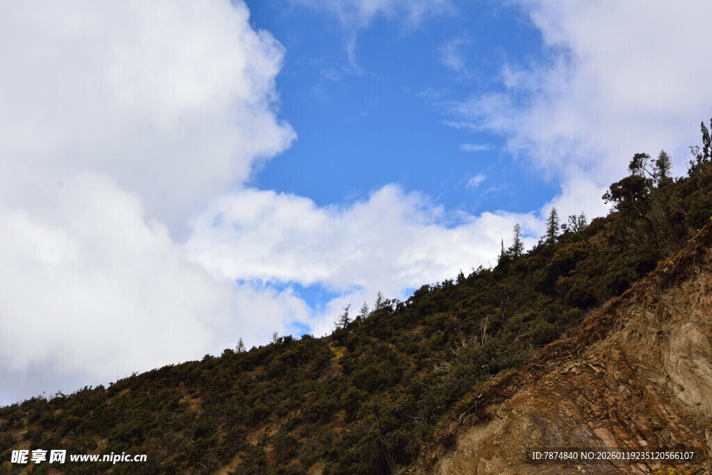 山坡蓝天绿树自然景象 稻城