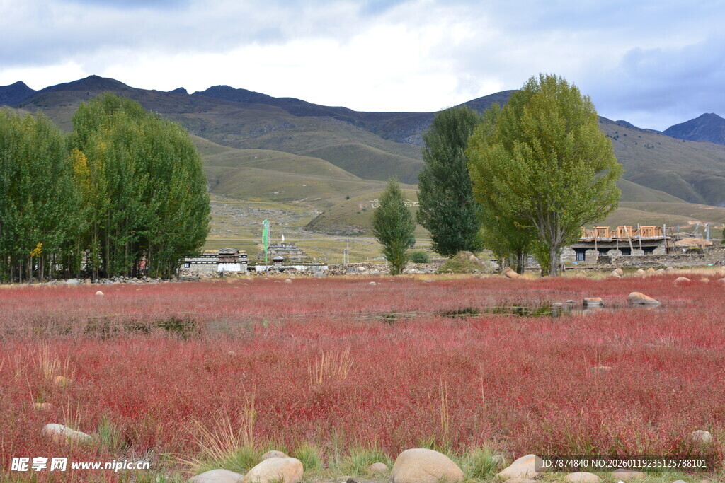 红草滩美景 远山绿树相伴 稻城