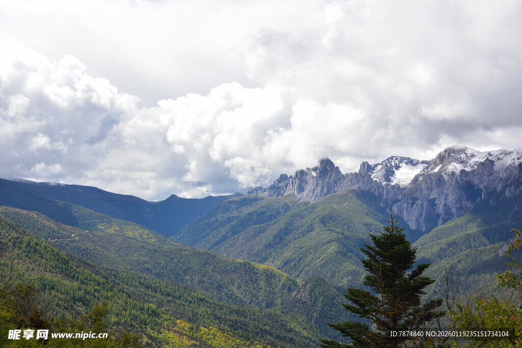 壮丽山峦与葱郁植被景观 稻城