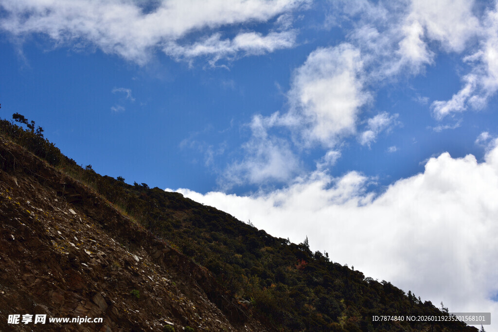 蓝天白云下的山坡景色 稻城
