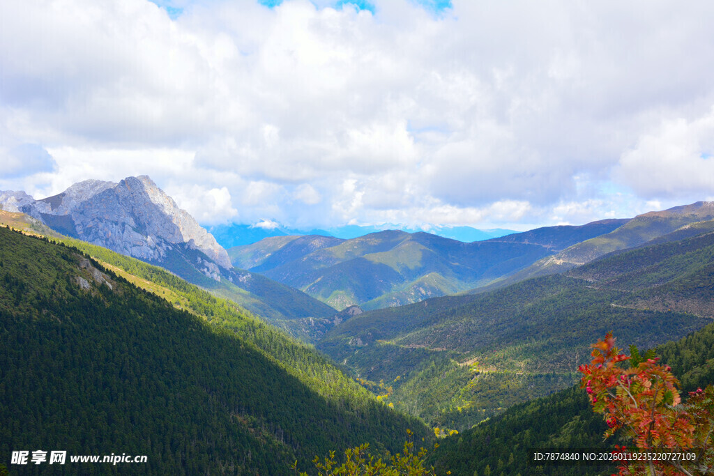 壮丽山景 多彩山林风光 稻城