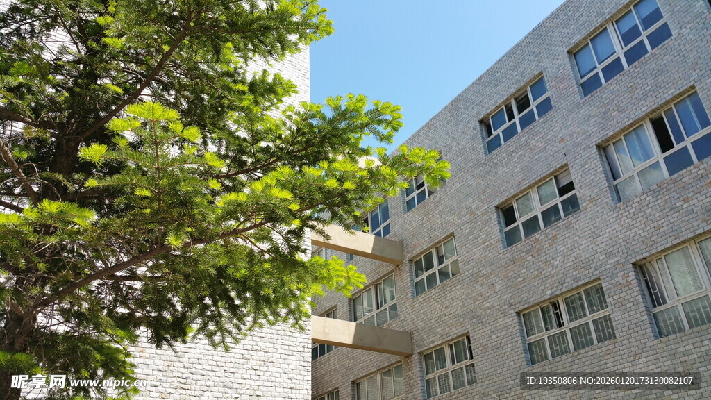 校园一角的建筑与绿树