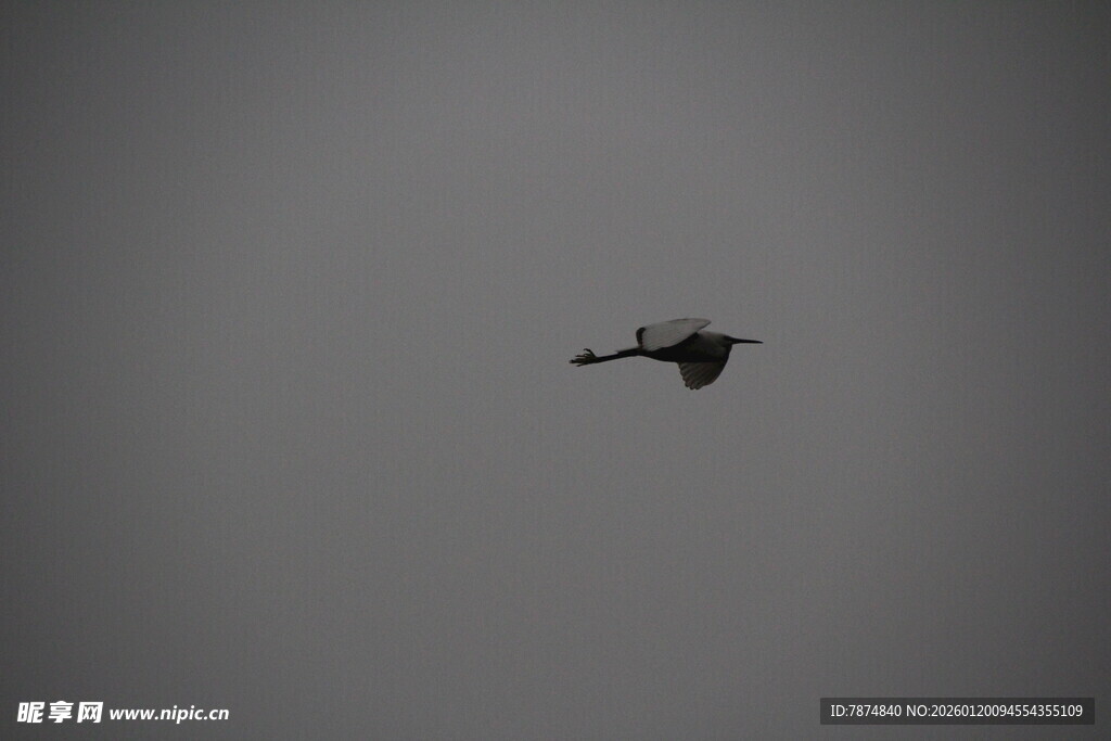 空中飞行的神秘无人机