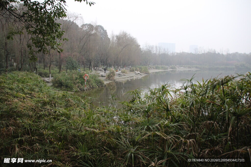 湖畔绿植环绕的静谧景致