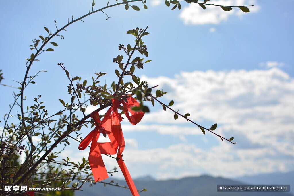 枝头红绸飘 远山蓝天景