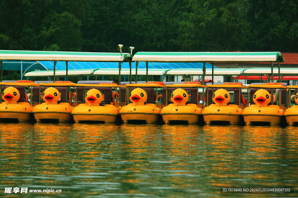 湖畔整齐排列的黄色游船
