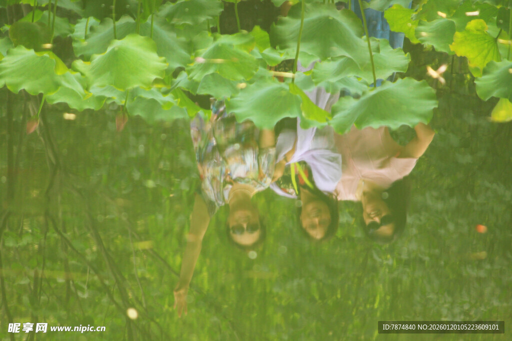 水中倒影的绿植与行人