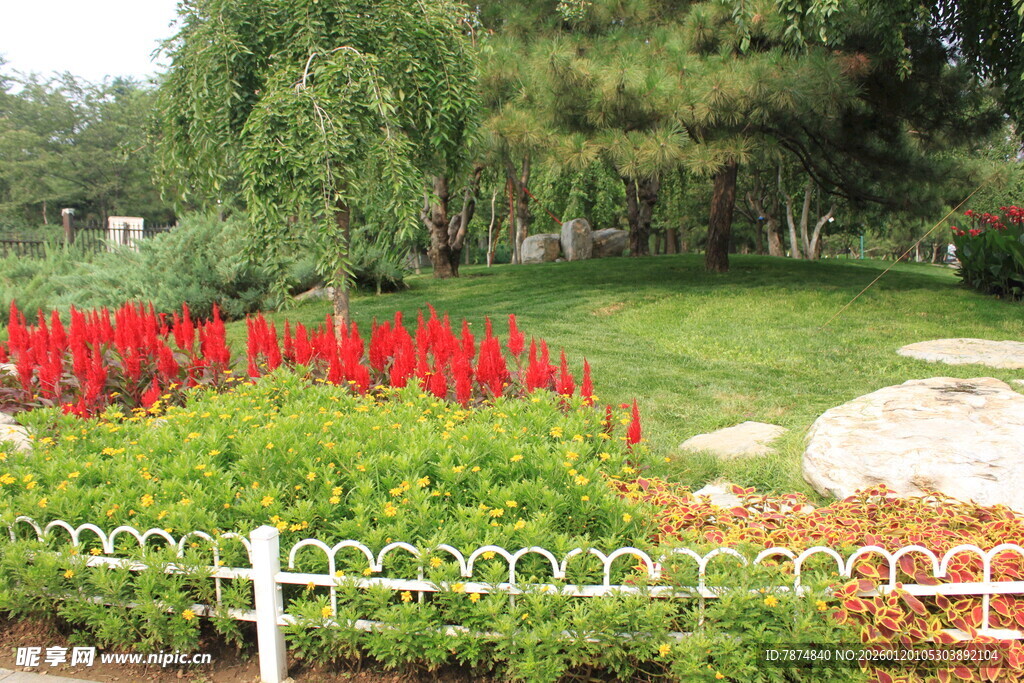 公园中的多彩花卉景观