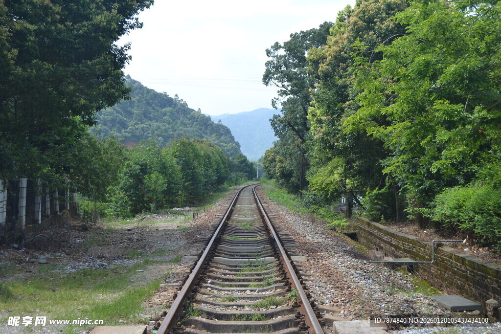 延伸向远方的林间铁轨