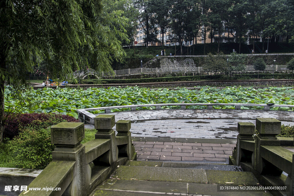 荷塘石桥畔的静谧景致