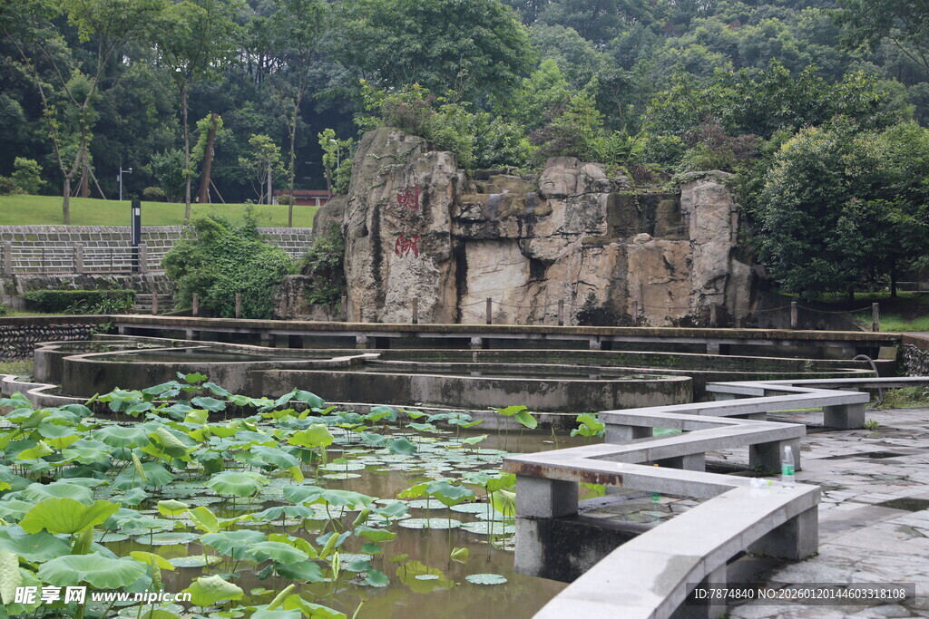 古遗迹旁的荷塘景观