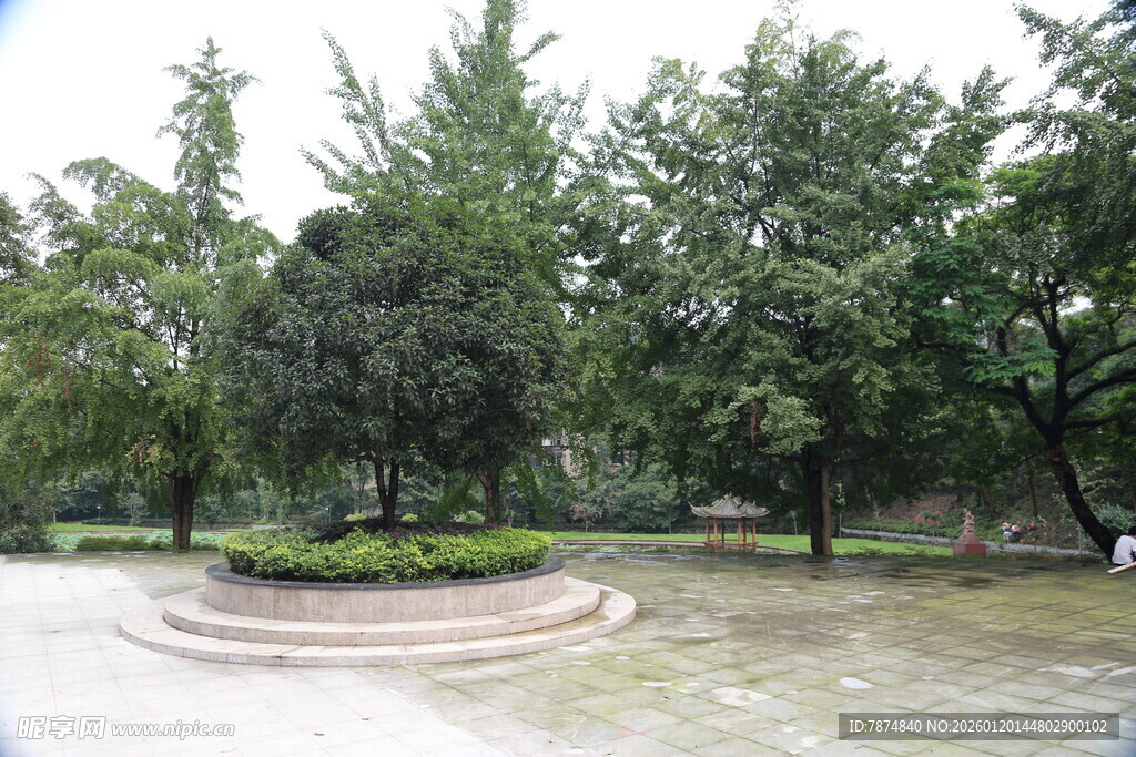 圆形花坛旁的绿树景观