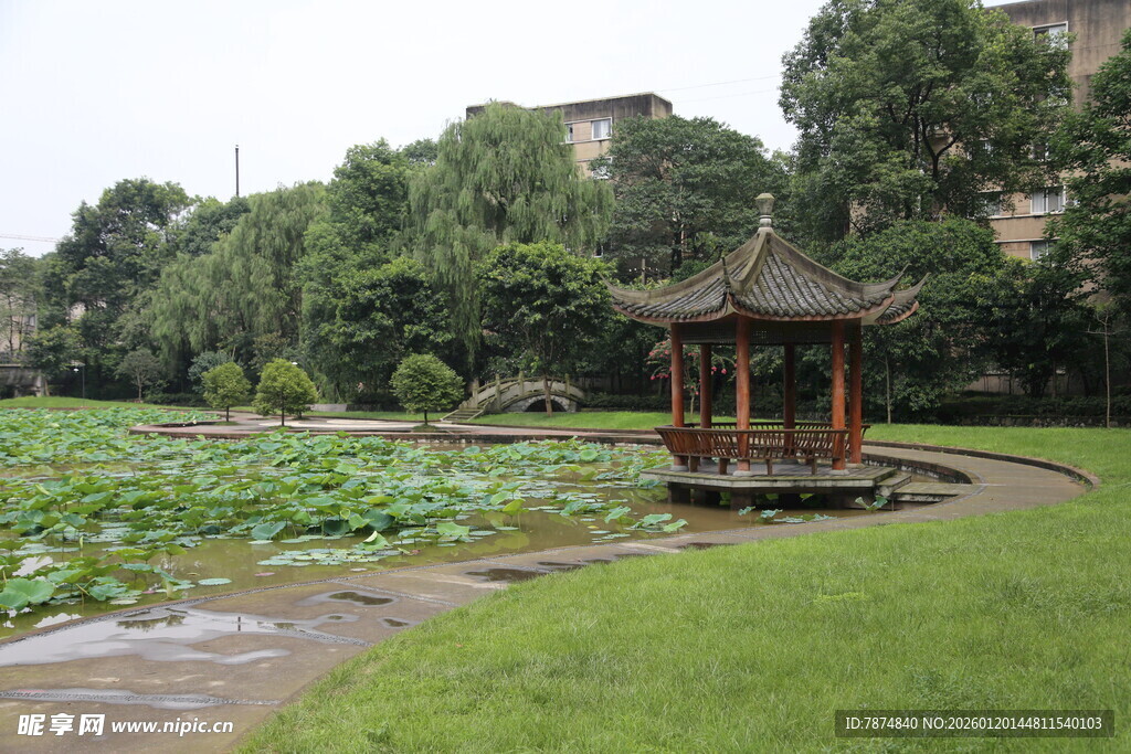 湖畔古亭 绿意盎然景致美