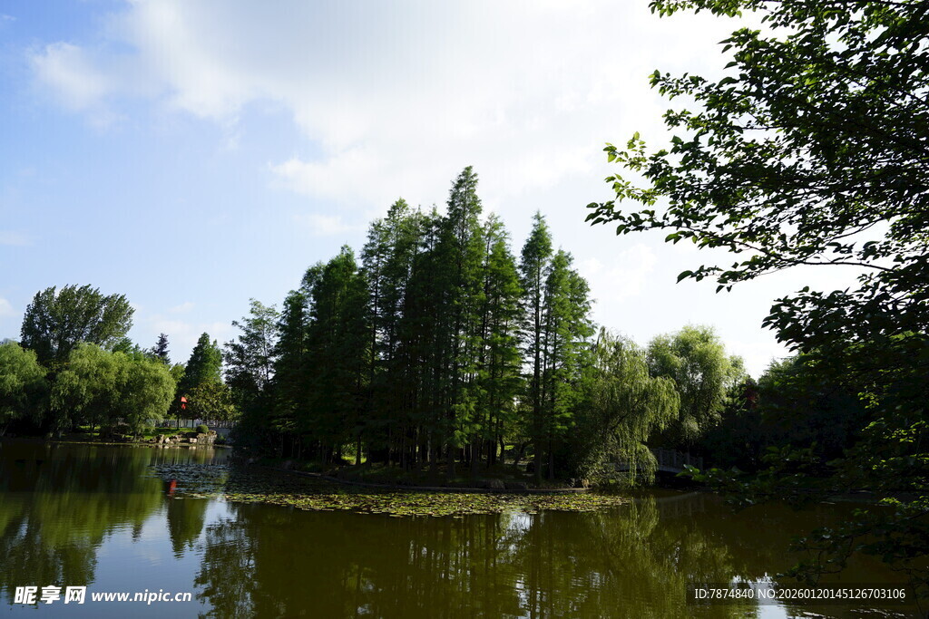湖畔绿树成荫的宁静风光