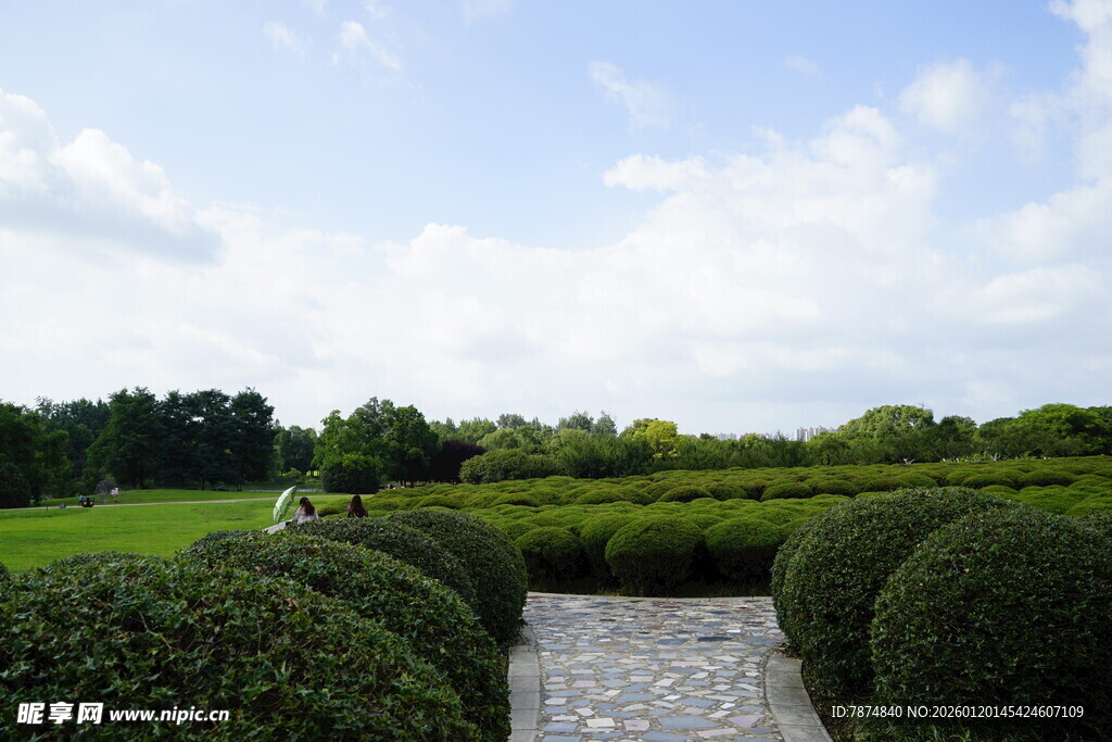 绿意盎然的园林景观小径