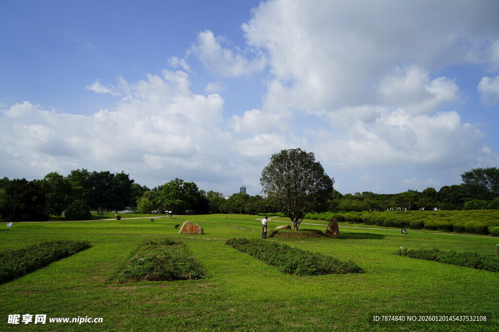 田园绿野风光美景