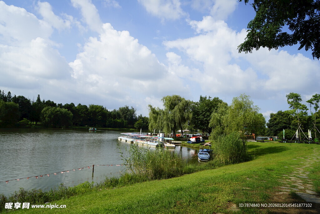 湖畔美景 宁静自然风光