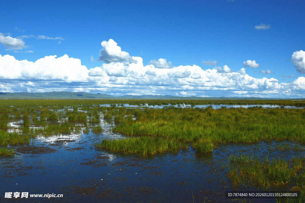 广袤湿地风光 蓝天白云相伴