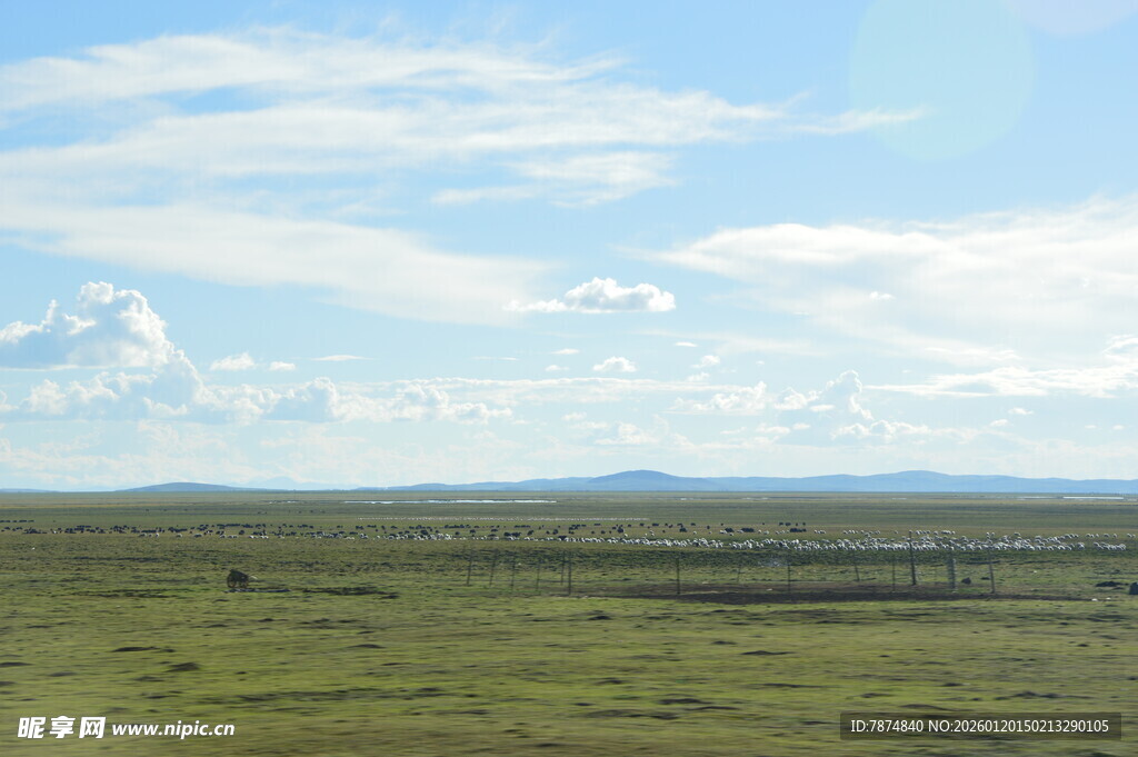 广袤草原蓝天白云美景