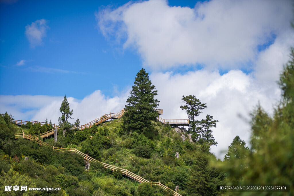 山间小径 绿意盎然的景致