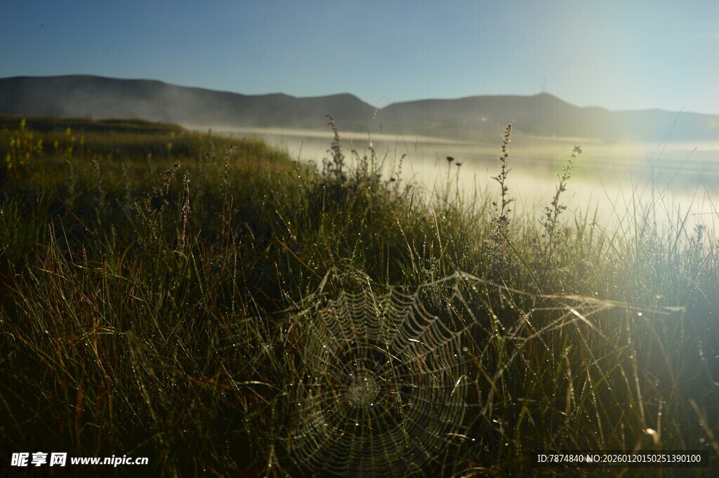 晨光下的草地与远山景色