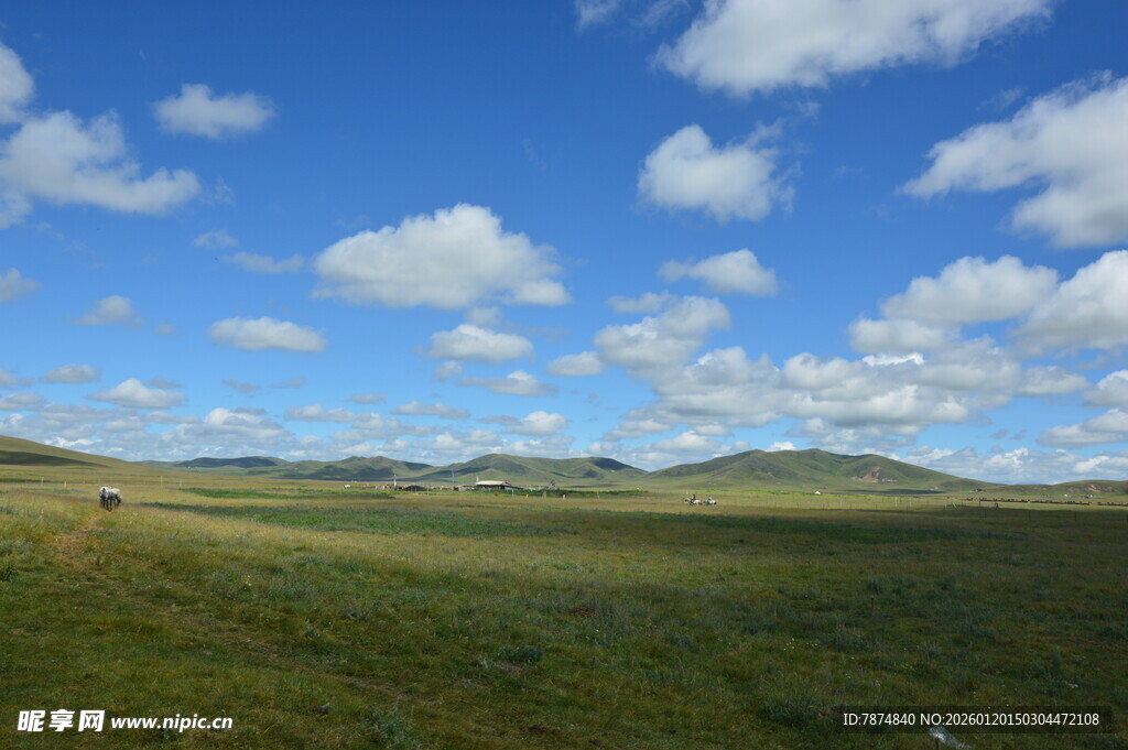 辽阔草原蓝天白云美景