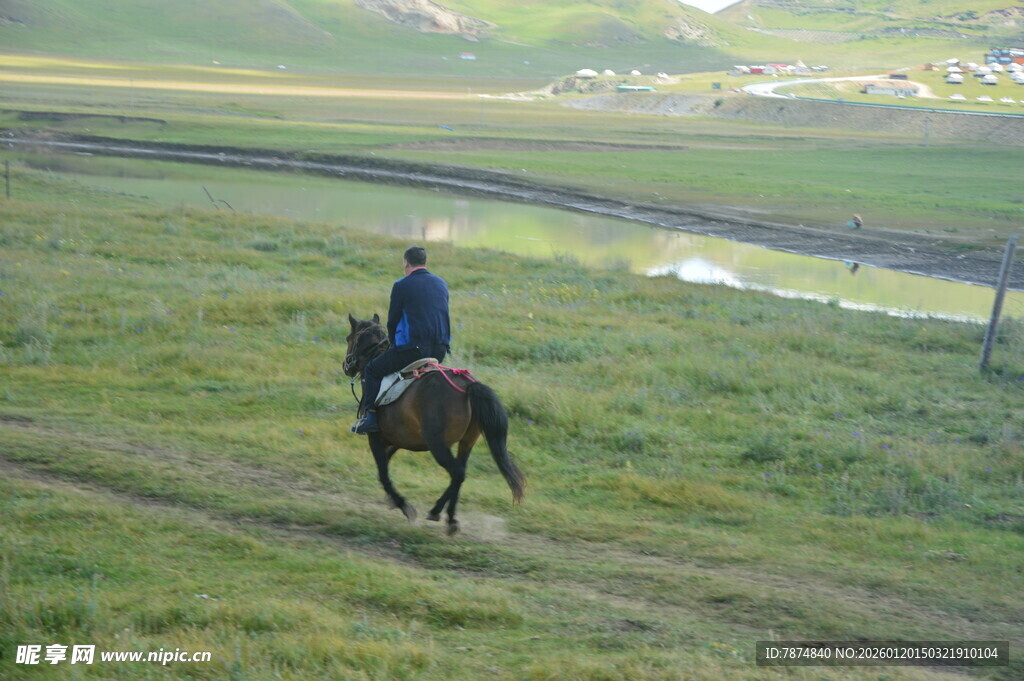 草原上的单人骑马之旅