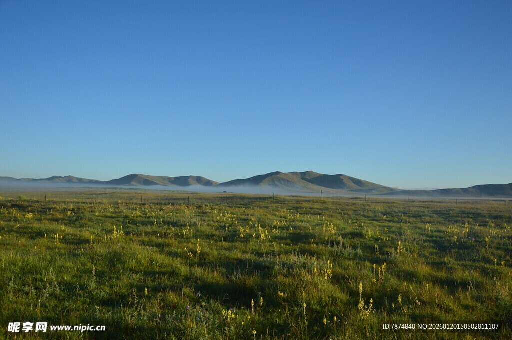 广袤绿野与远处山峦