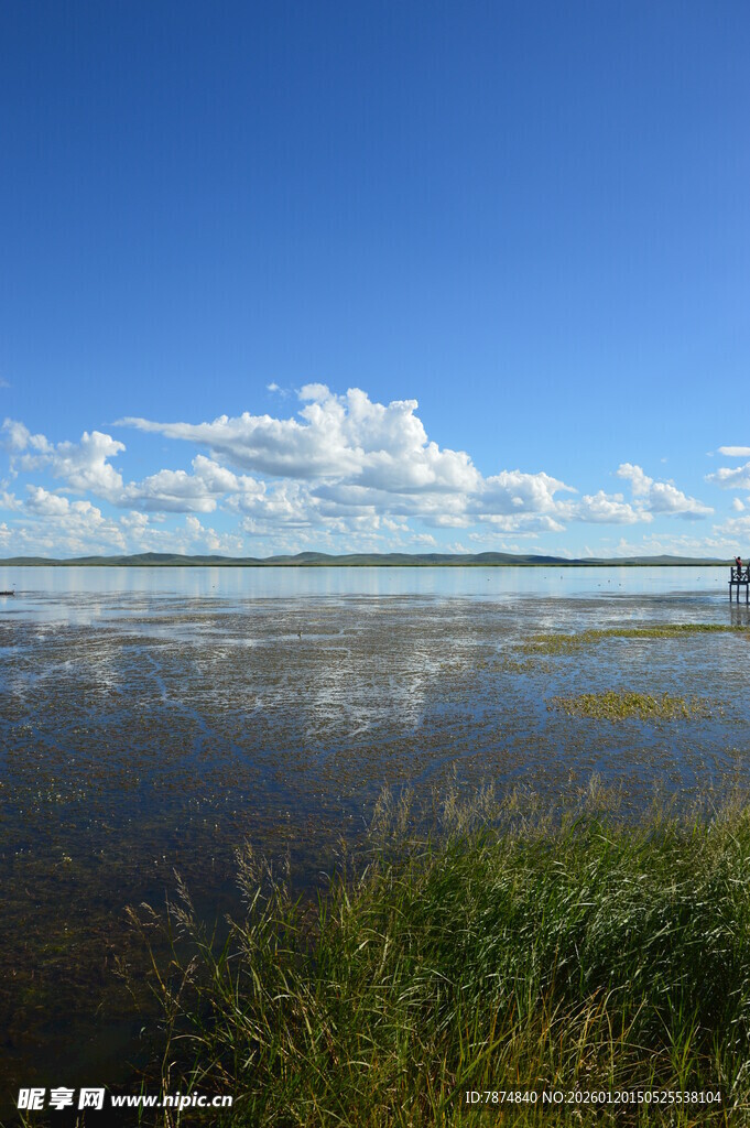 蓝天碧水间的湿地风光