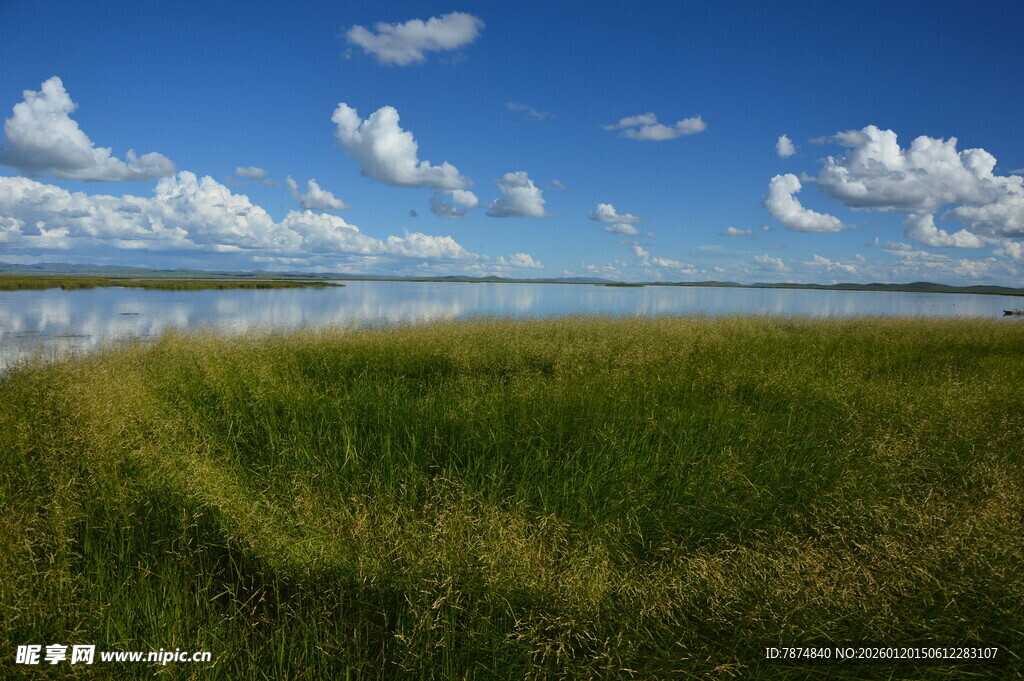 广袤草原与蓝天相映成趣