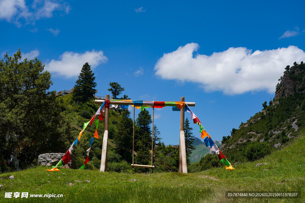 户外彩色秋千装点绿色草地
