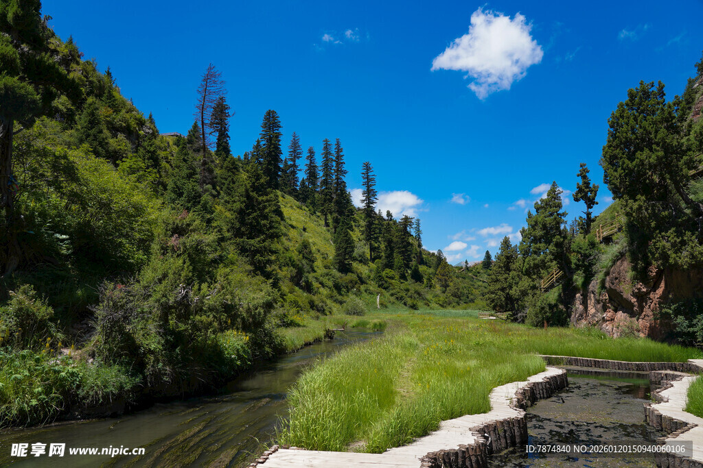 山间溪流畔的葱郁景致