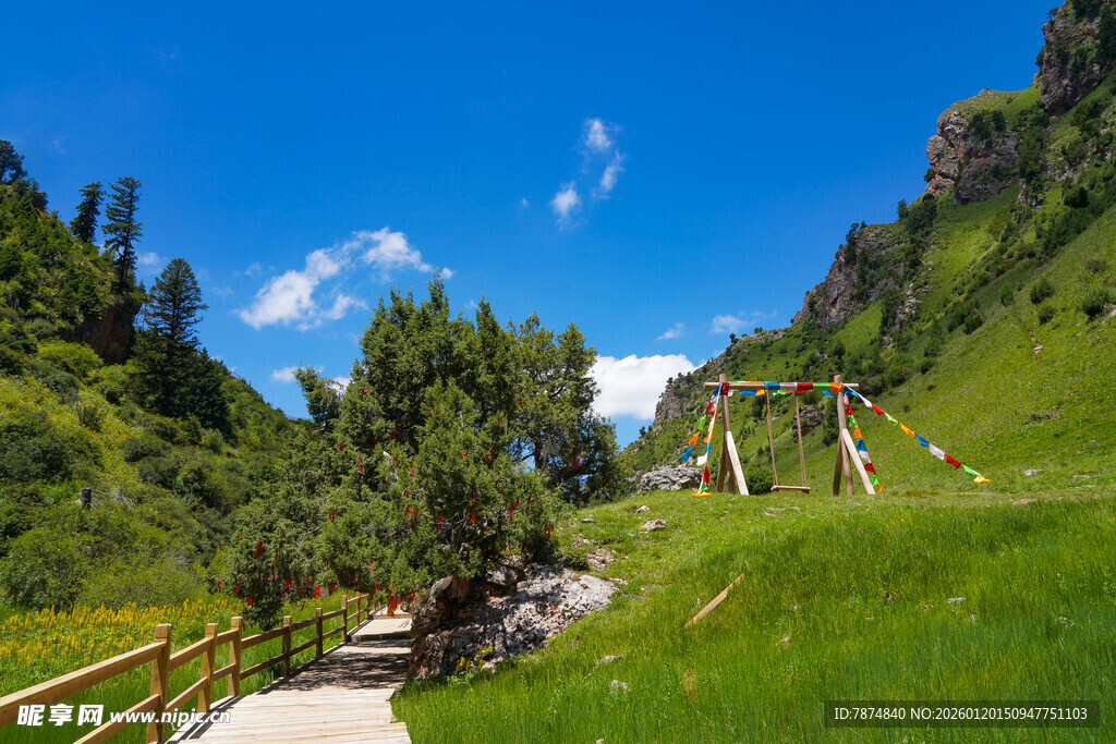 山间小径 绿意盎然的美景