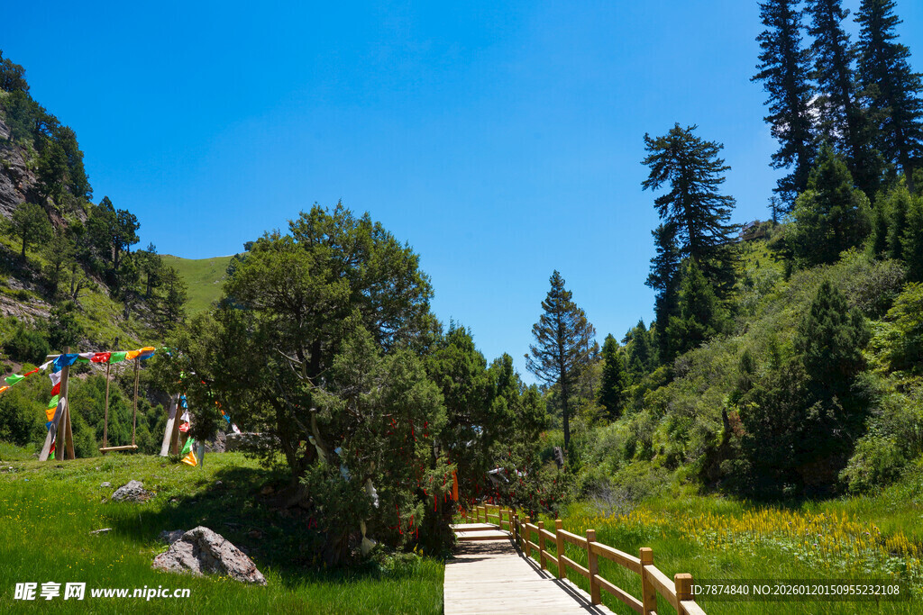 山间小道的自然美景