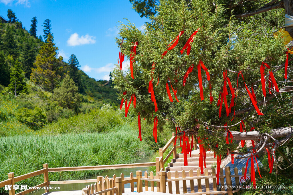 林间祈福处 红绸随风飘