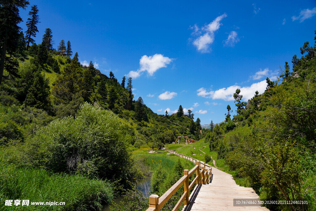 山间木栈道旁的绿意风光