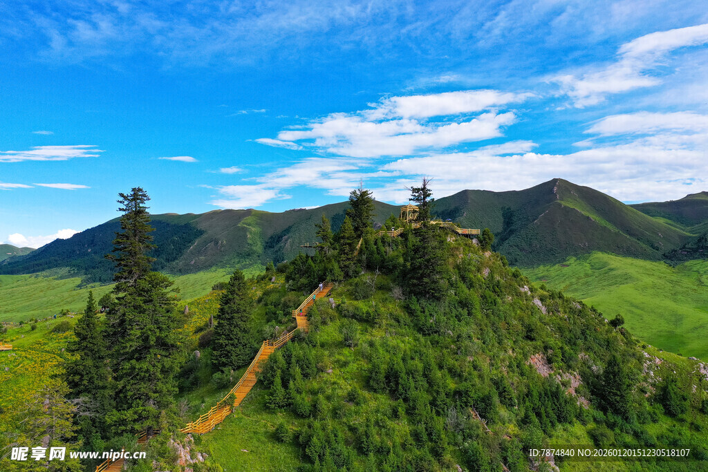 山间绿野中的蜿蜒小径