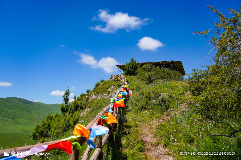 山间徒步队伍攀登至小屋